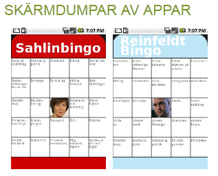 politik-bingo